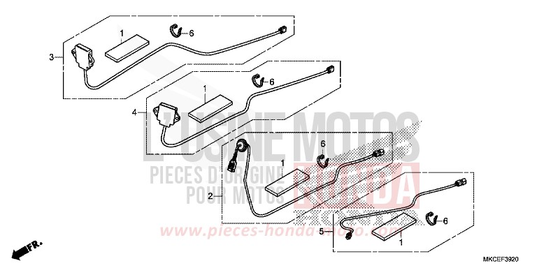 ANTENNA ASSEMBLY/CORD SET for Gold Wing CANDY ARDENT RED (R367B) from 2019